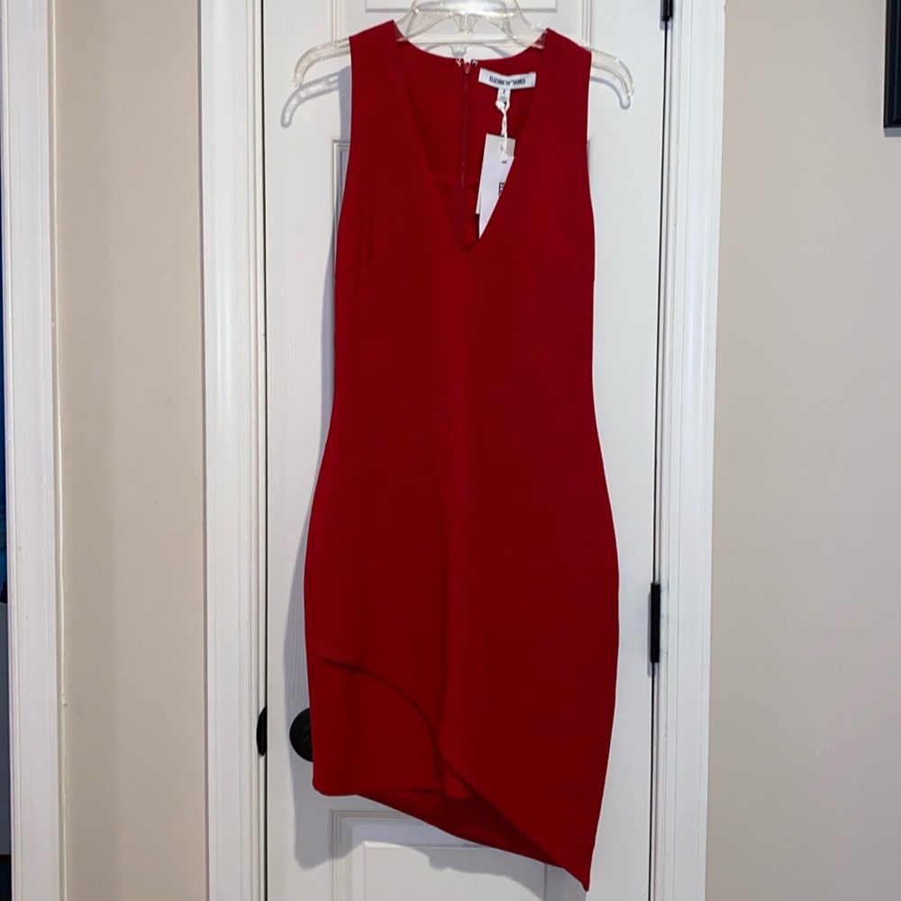 Elizabeth and James size 2 NWT Dress